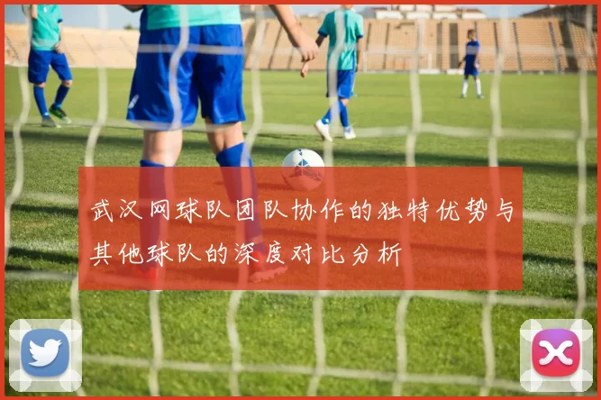 武汉网球队团队协作的独特优势与其他球队的深度对比分析
