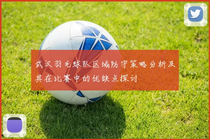 武汉羽毛球队区域防守策略分析及其在比赛中的优缺点探讨