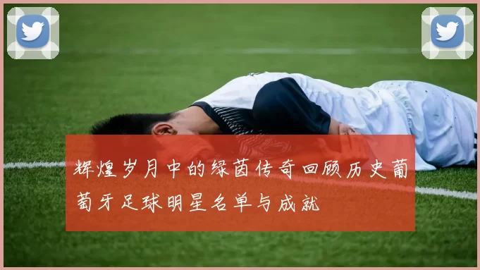 辉煌岁月中的绿茵传奇回顾历史葡萄牙足球明星名单与成就