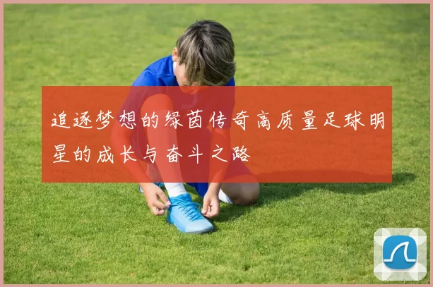 追逐梦想的绿茵传奇高质量足球明星的成长与奋斗之路