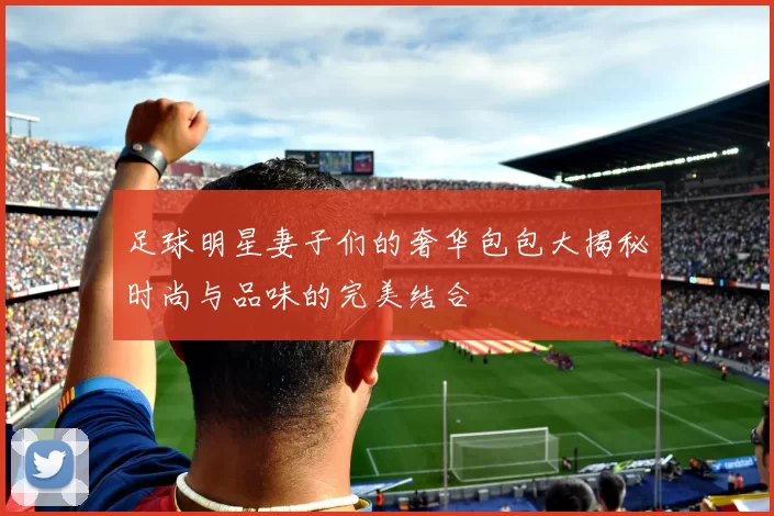 足球明星妻子们的奢华包包大揭秘时尚与品味的完美结合