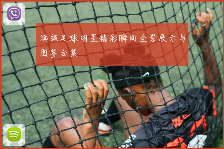 满级足球明星精彩瞬间全景展示与图鉴合集