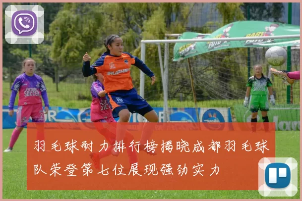 羽毛球耐力排行榜揭晓成都羽毛球队荣登第七位展现强劲实力