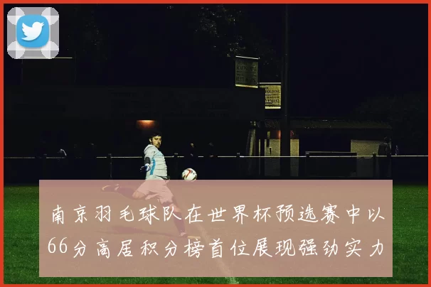 南京羽毛球队在世界杯预选赛中以66分高居积分榜首位展现强劲实力