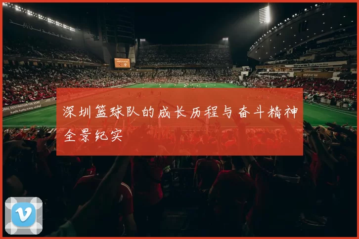 深圳篮球队的成长历程与奋斗精神全景纪实