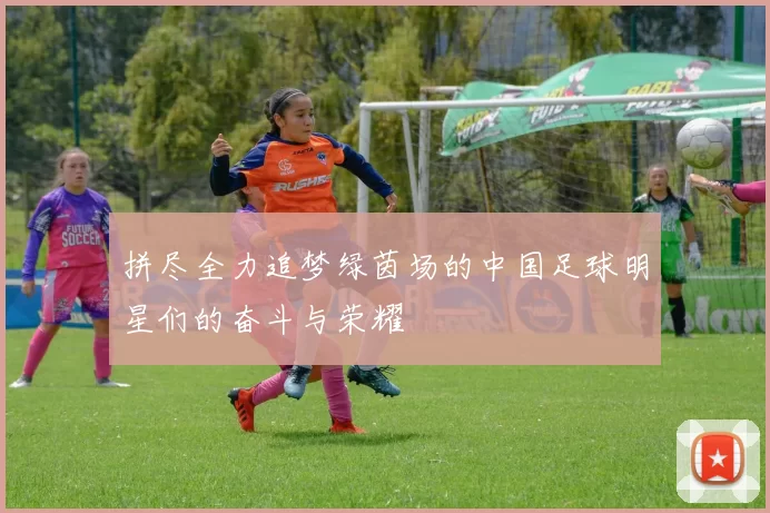 拼尽全力追梦绿茵场的中国足球明星们的奋斗与荣耀