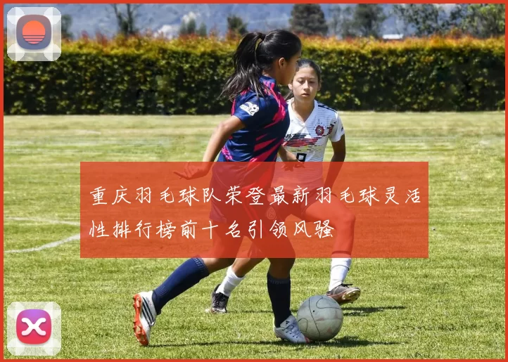 重庆羽毛球队荣登最新羽毛球灵活性排行榜前十名引领风骚