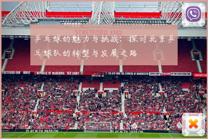 乒乓球的魅力与挑战：探讨北京乒乓球队的转型与发展之路