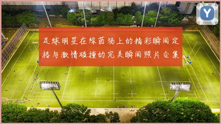 足球明星在绿茵场上的精彩瞬间定格与激情碰撞的完美瞬间照片合集