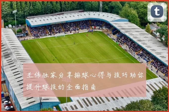 王伟独家分享排球心得与技巧助你提升球技的全面指南