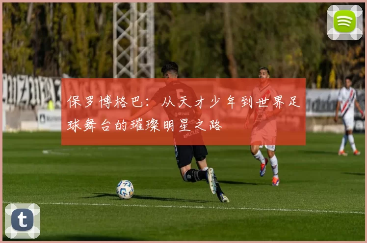 保罗博格巴：从天才少年到世界足球舞台的璀璨明星之路
