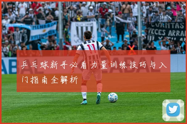 乒乓球新手必看力量训练技巧与入门指南全解析
