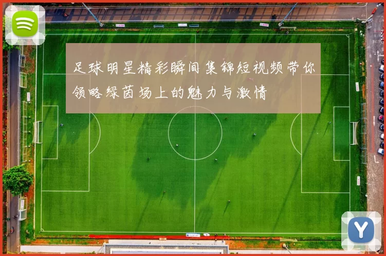 足球明星精彩瞬间集锦短视频带你领略绿茵场上的魅力与激情