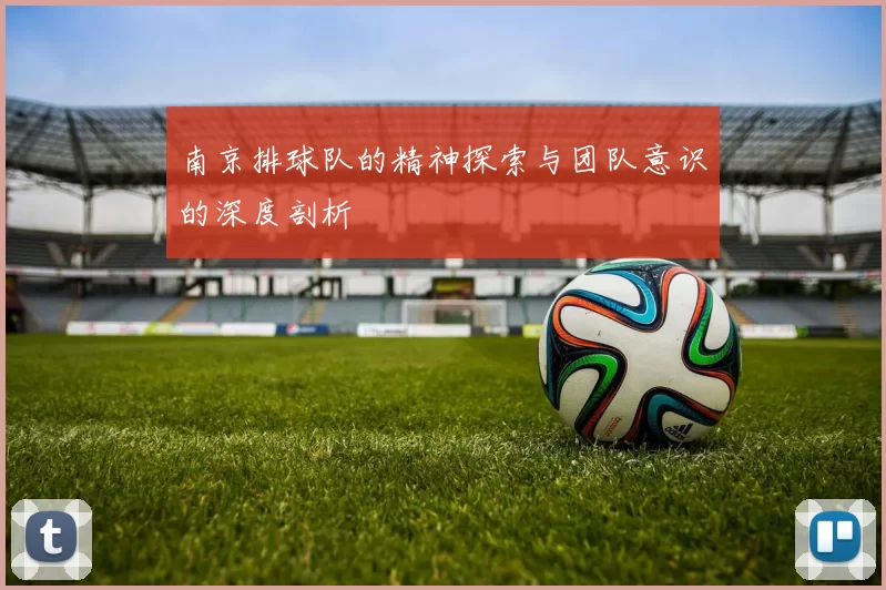 南京排球队的精神探索与团队意识的深度剖析