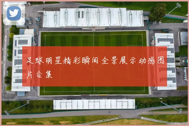足球明星精彩瞬间全景展示动感图片合集