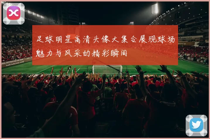 足球明星高清头像大集合展现球场魅力与风采的精彩瞬间