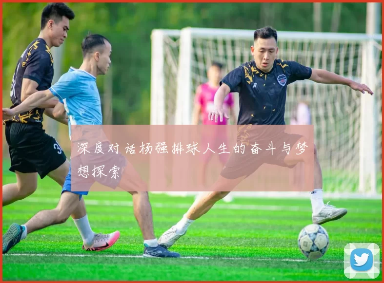 深度对话杨强排球人生的奋斗与梦想探索