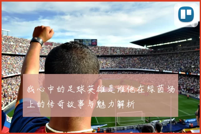 我心中的足球英雄是谁他在绿茵场上的传奇故事与魅力解析
