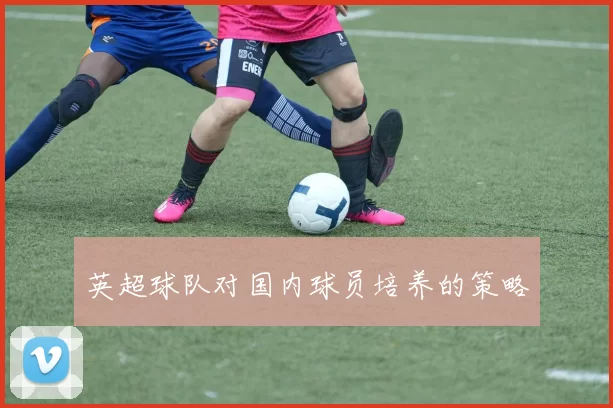 英超球队对国内球员培养的策略